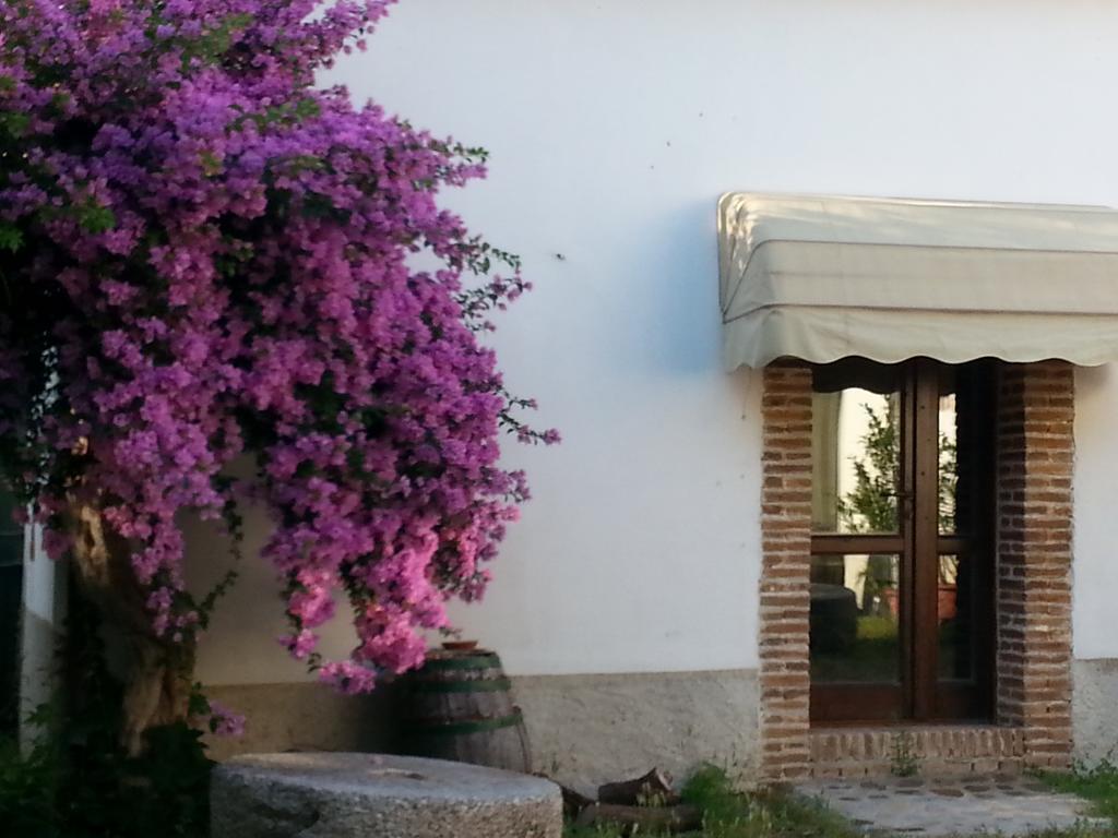 Agriturismo Malena Farm stay Rossano