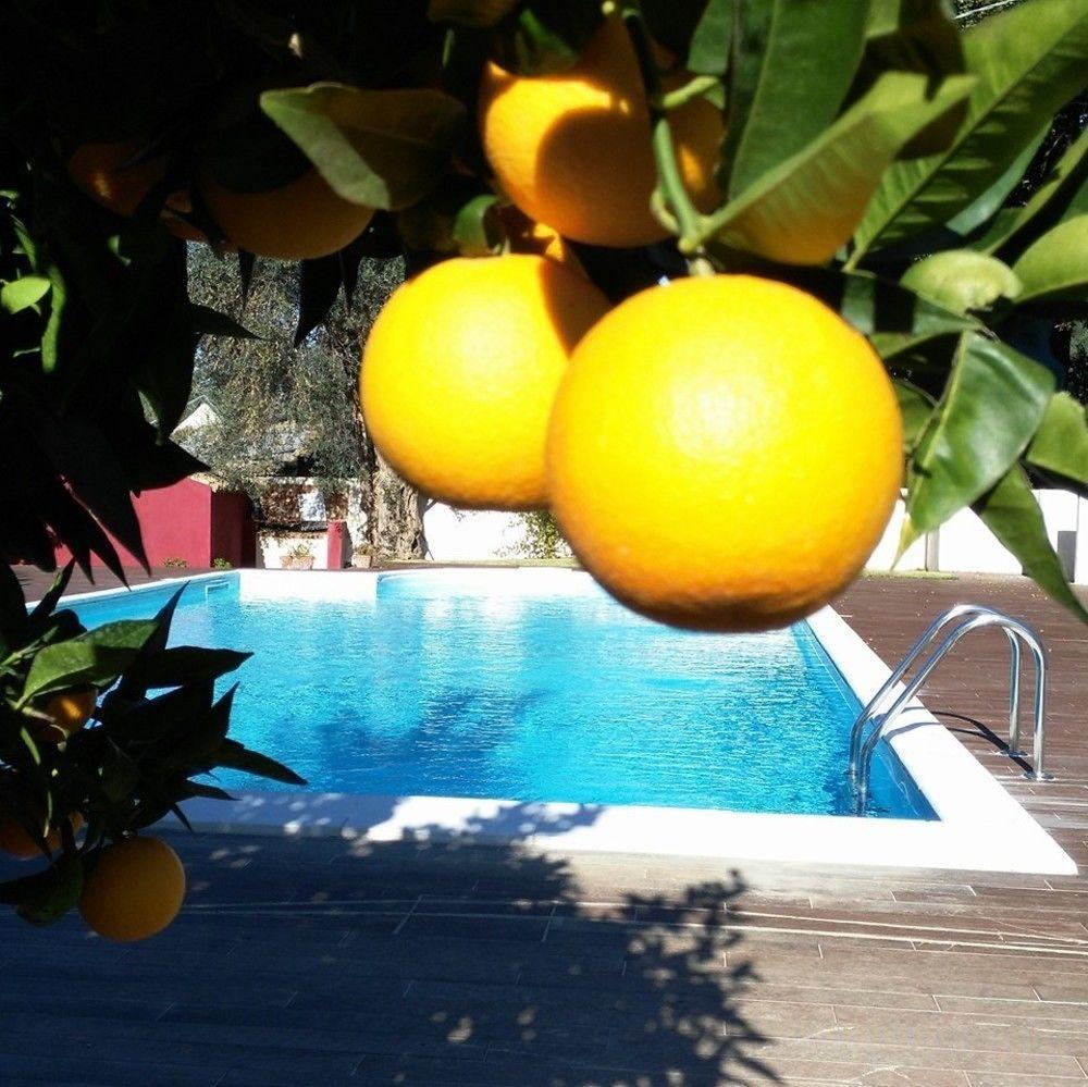 Agriturismo Malena Farm stay *